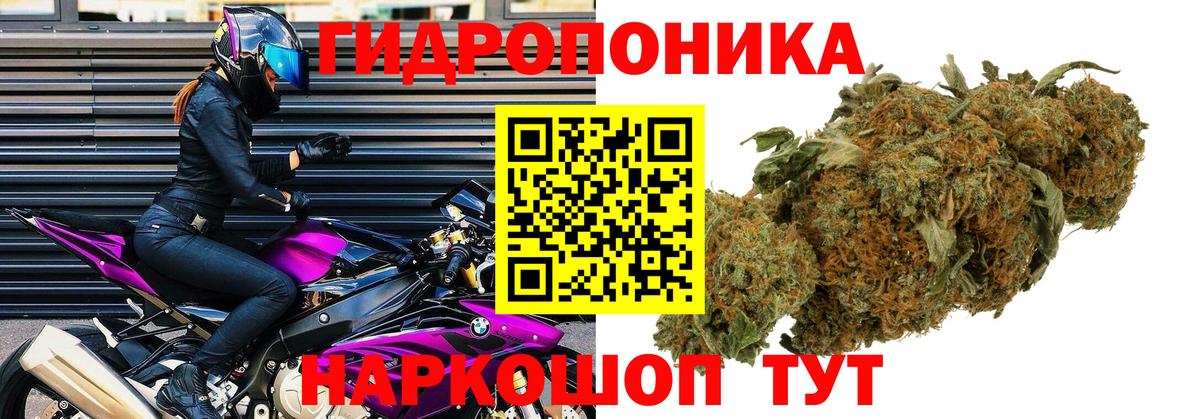 Каннабис тримм Кузнецк